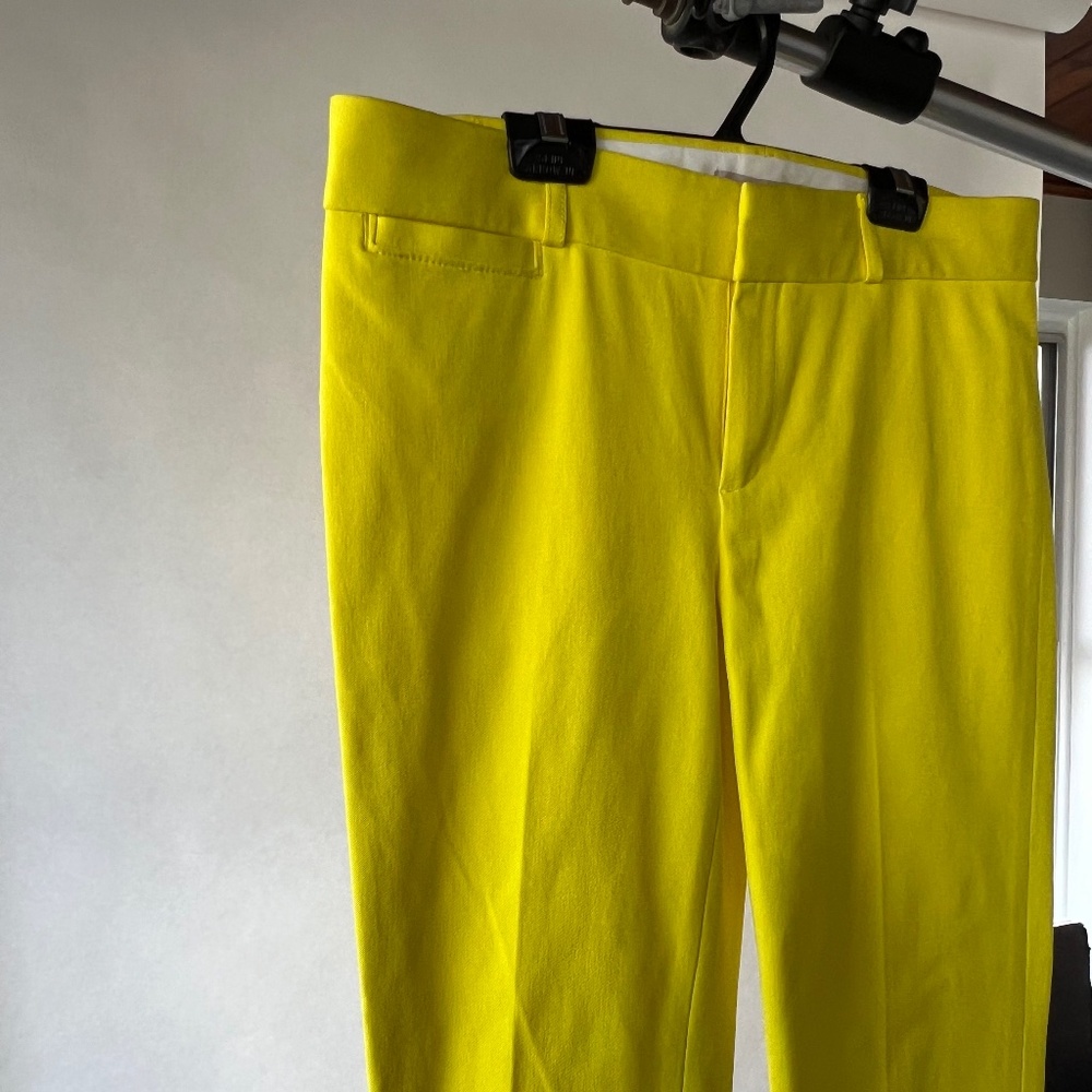 Banana Republic Sloan Fit Cropped Pants
